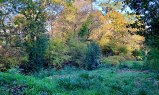 Terrain  661 m² à vendre à Anglet (64600)