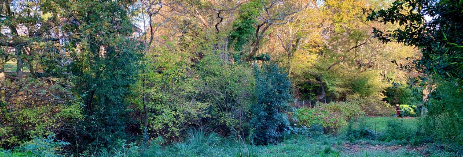 Terrain  661 m² à vendre à Anglet (64600)