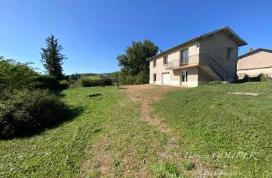 A SAINT GERMAIN LAVAL (42) MAISON  de 120 M2  avec terasse TERRAIN de 3 HA  et BATIMENT de 75 M2 — photo du bien