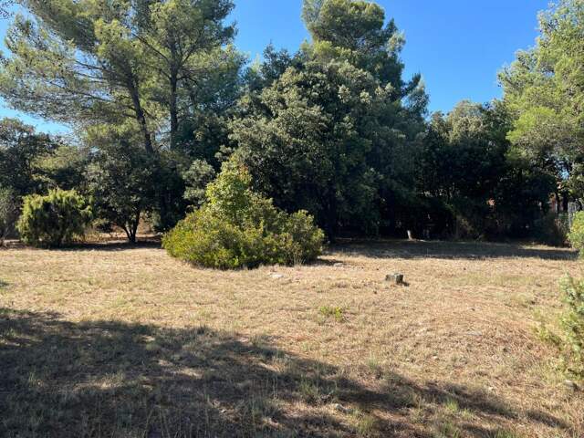 Terrain À Vendre — photo du bien
