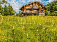 Chalet 220 m2 - Terrain plat 1200 m2 — photo 3