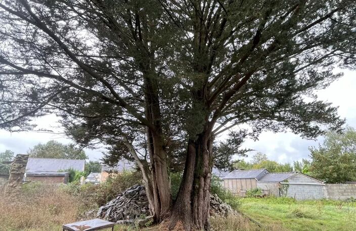 Sur la commune de Saffre ,longère à rénovée  de 150m² au sol sur — photo 5