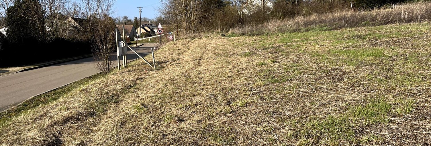 Terrain  1452 m² à vendre à Sergines (89140)