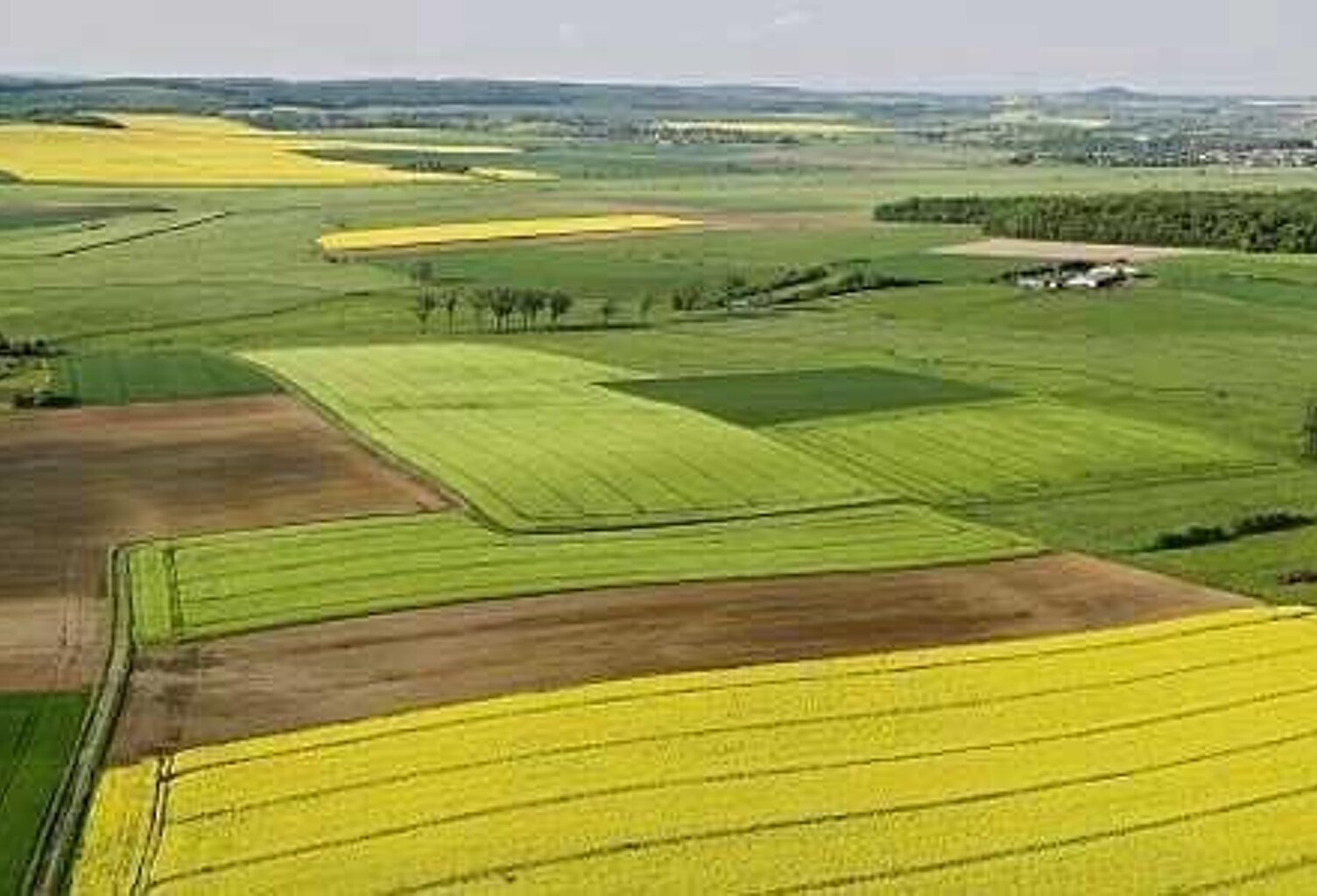 Vente terrain  1525000 m² Saint-Lactencin (36500) — photo 1