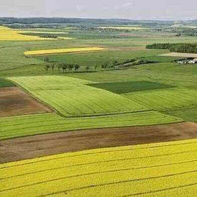 Terrain  2100000 €