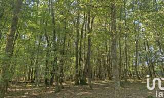 Maison 5 Pièces 300 m² à vendre à Gardegan-et-Tourtirac (33350)