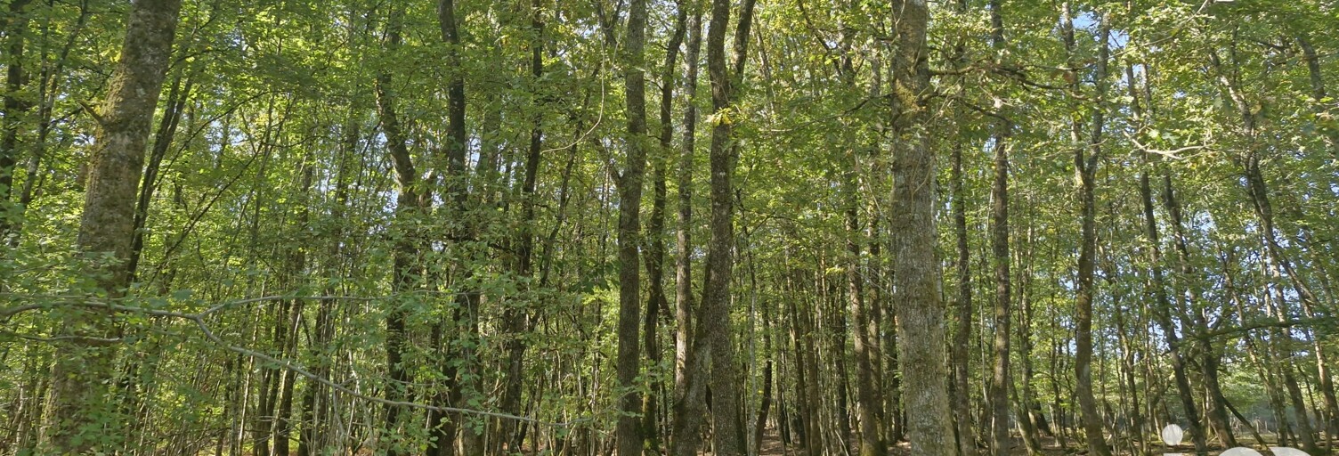 Maison 5 Pièces 300 m² à vendre à Gardegan-et-Tourtirac (33350)