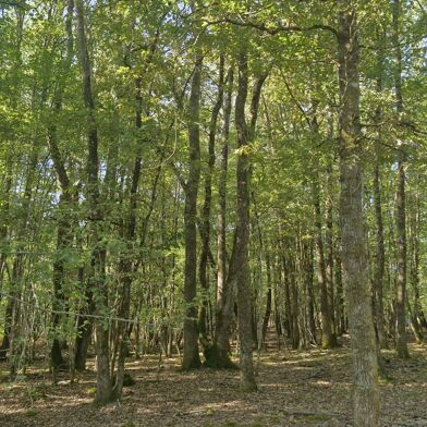 Maison 5 pièces 399000 €