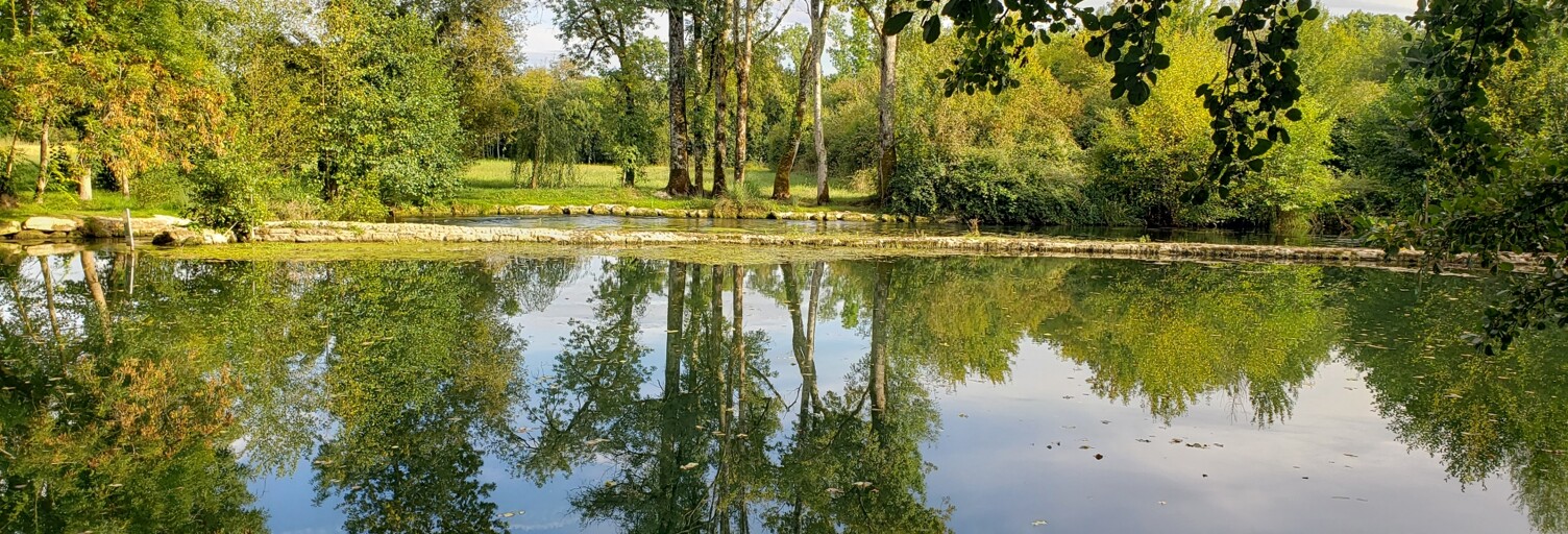 Terrain  5700 m² à vendre à Barro (16700)