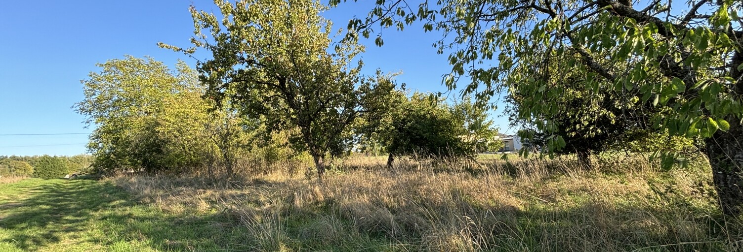 Terrain  2344 m² à vendre à Sormonne (08150)