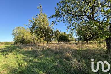 Terrain  45500 €