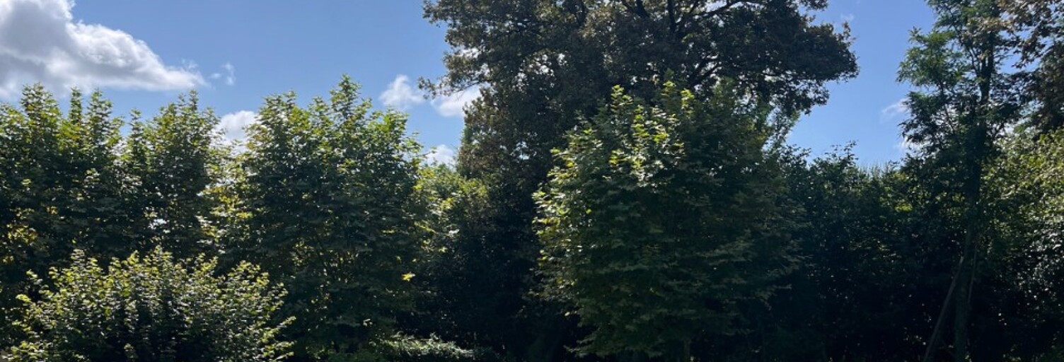 Terrain  2500 m² à vendre à Josse (40230)