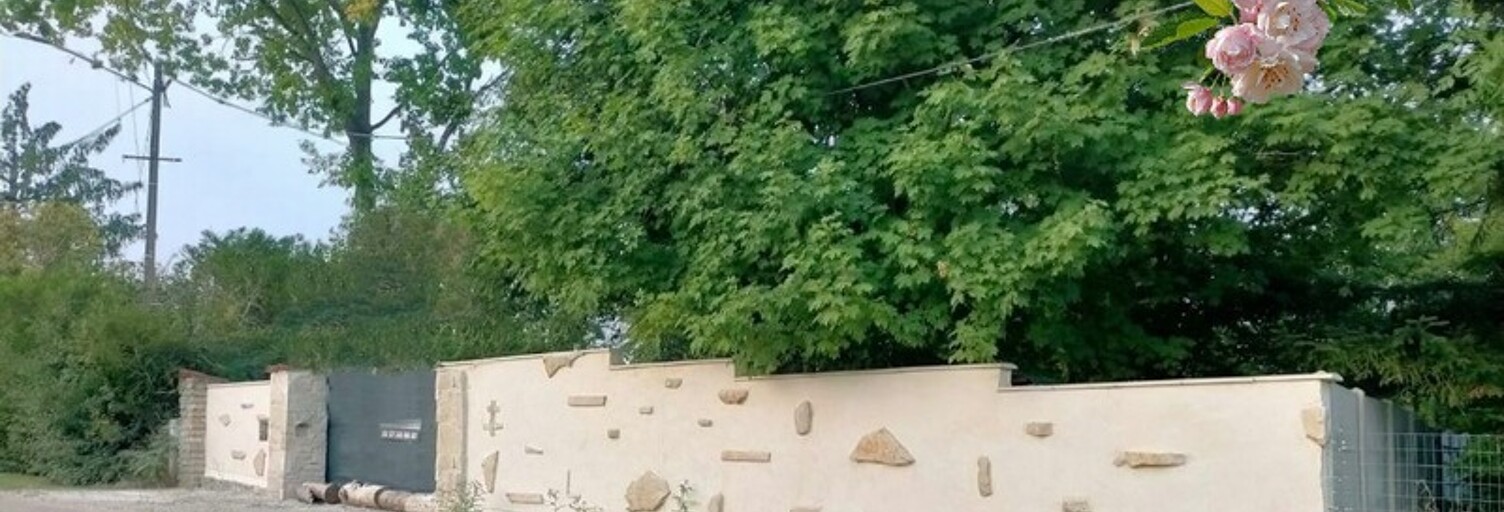 Photo N° 2