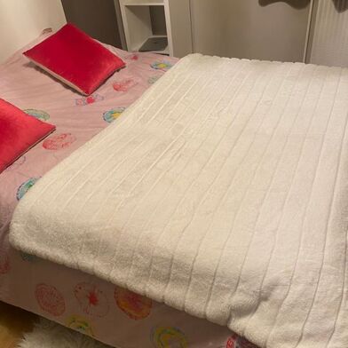 Appartement 1 pièces 500 €