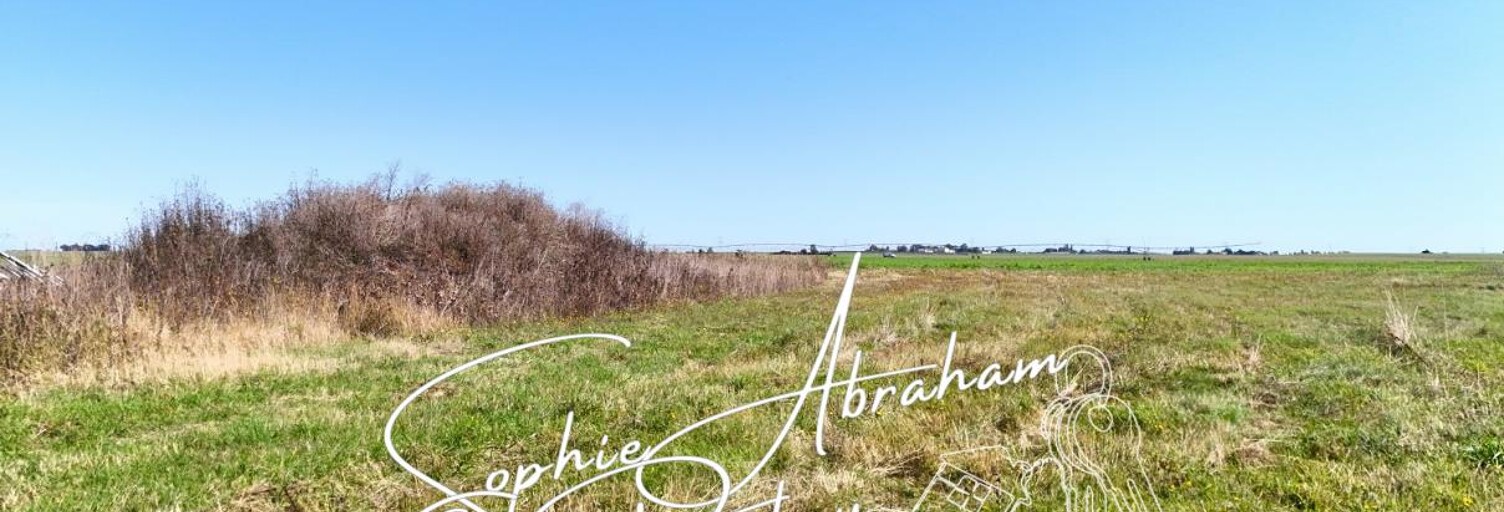 Terrain  4251 m² à vendre à Crottes-en-Pithiverais (45170)