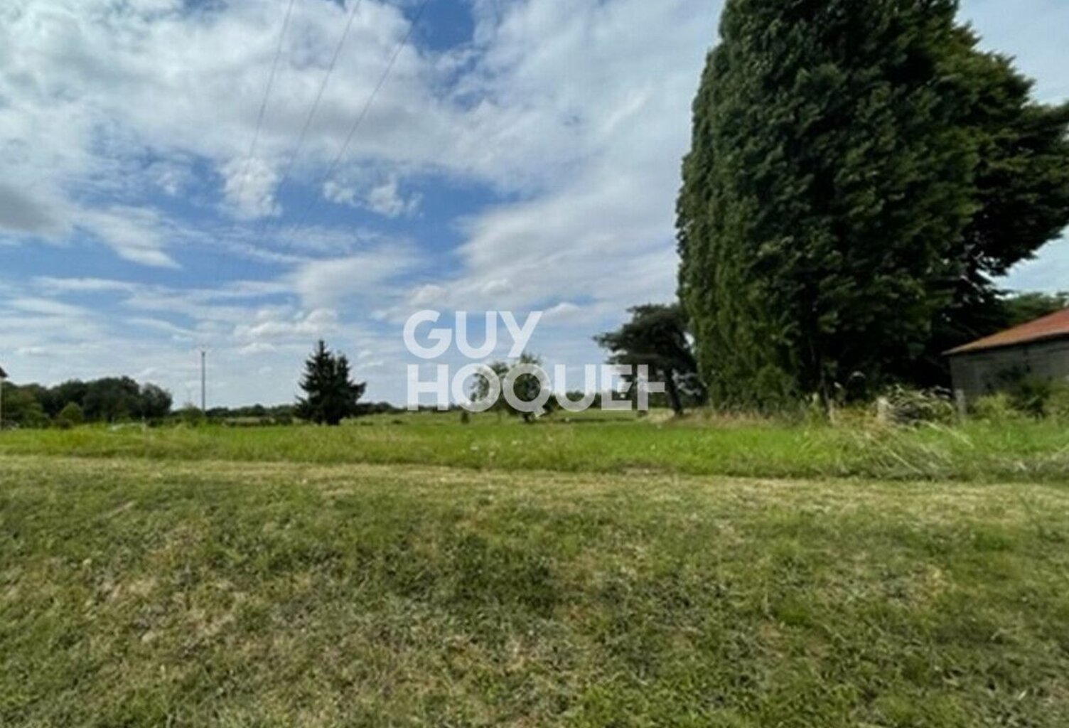 terrain — photo 1