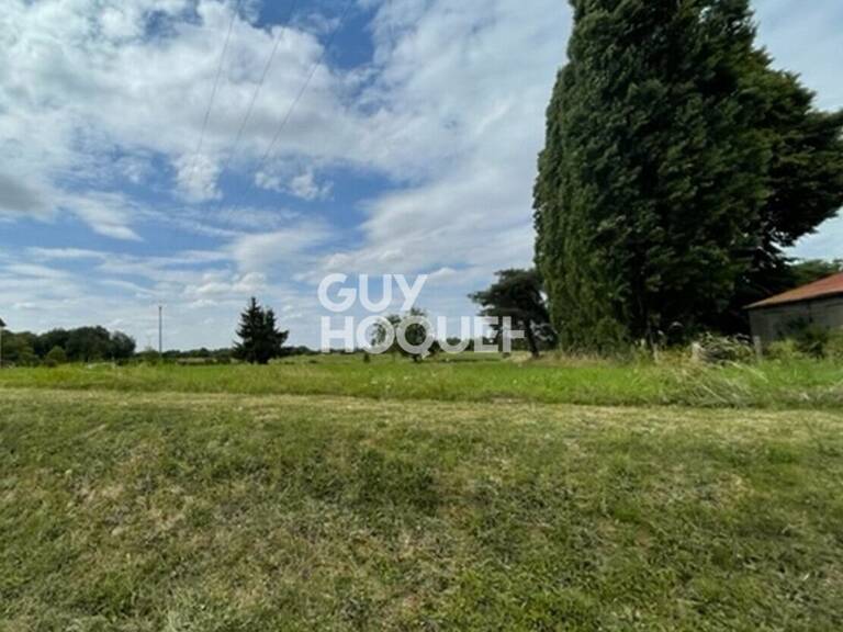 terrain — photo 1
