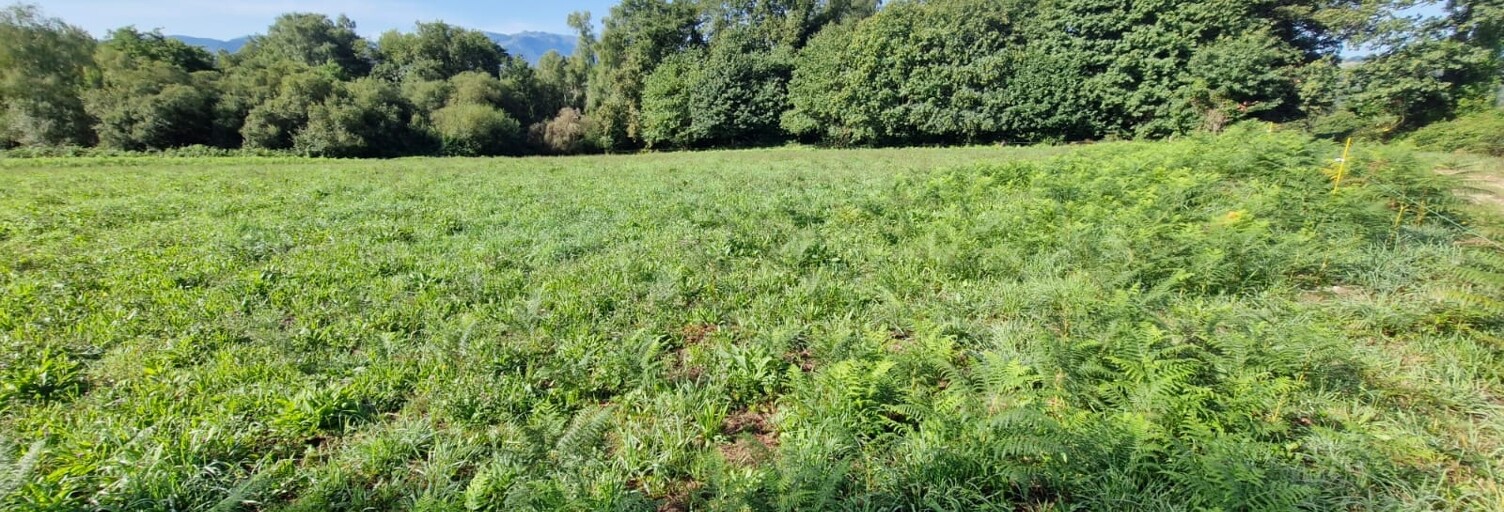 Terrain  12539 m² à vendre à Lamarque-Pontacq (65380)