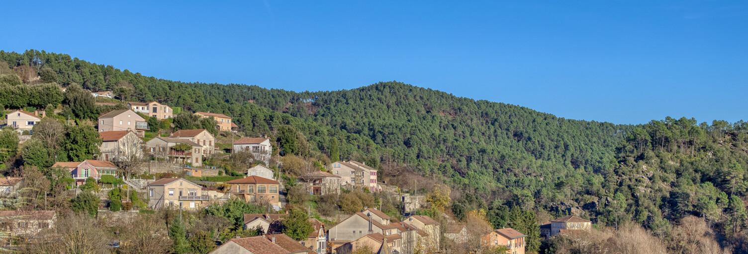 Maison 2 Pièces 60 m² à vendre à Le Collet-de-Dèze (48160)