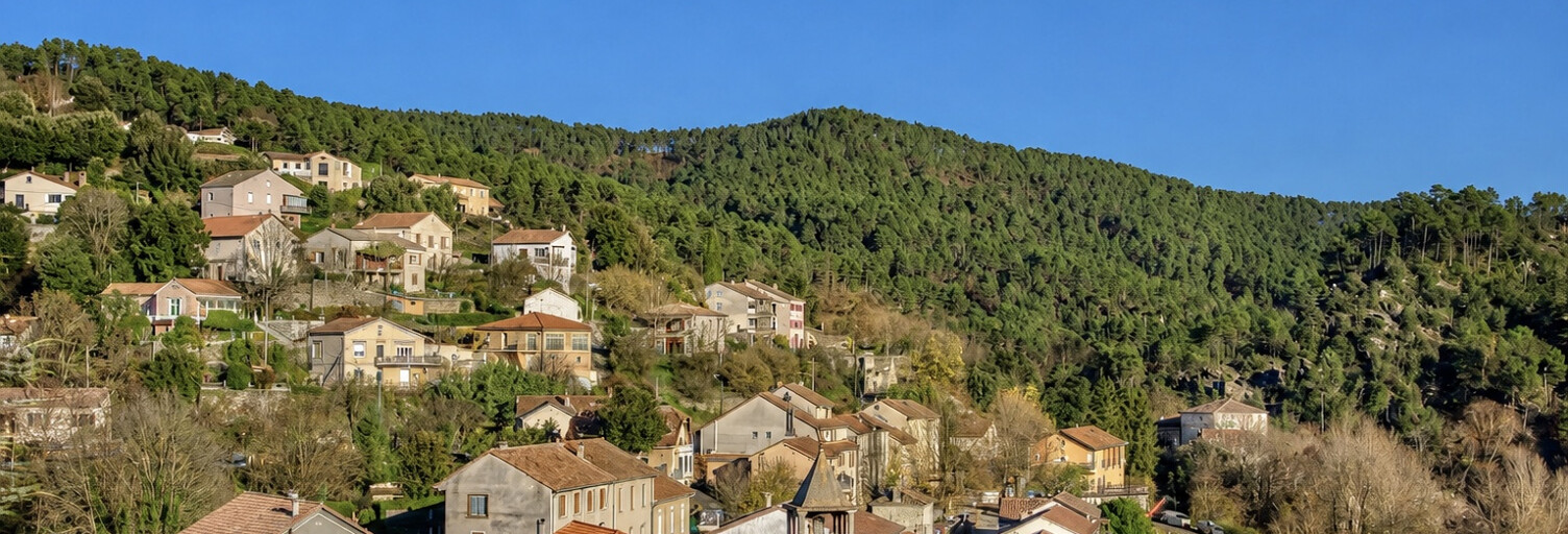 Maison 2 Pièces 60 m² à vendre à Le Collet-de-Dèze (48160)