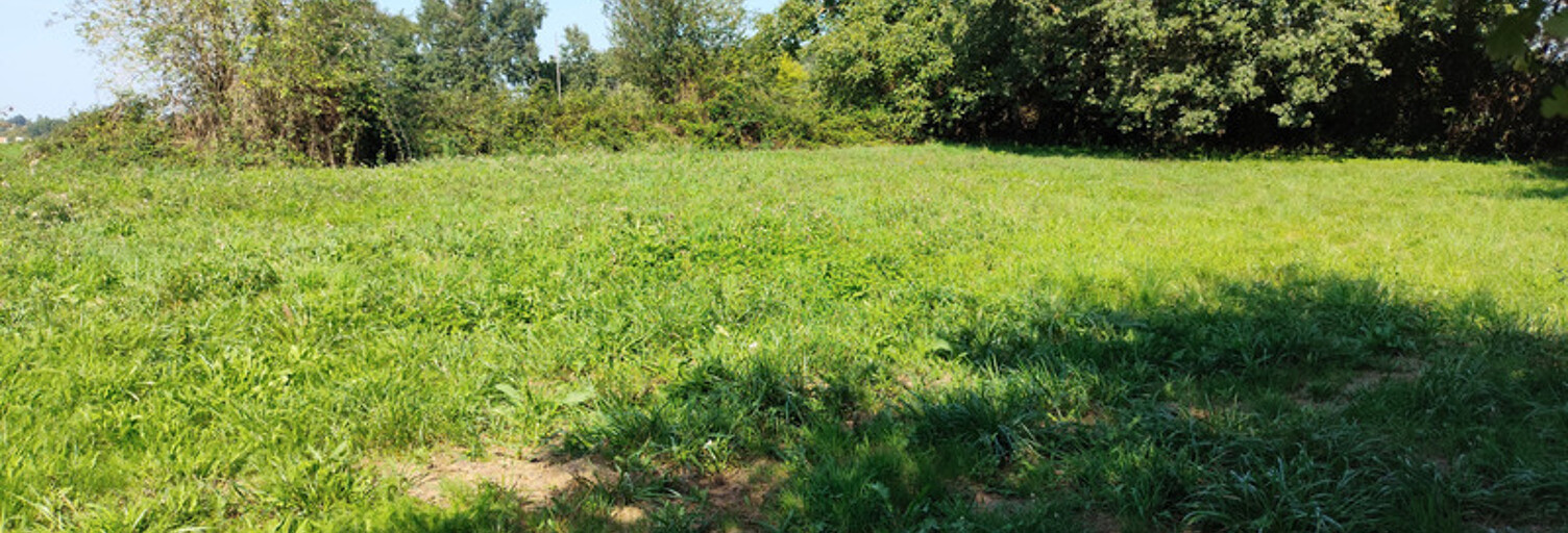 Terrain  1123 m² à vendre à Tesson (17460)