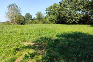 Terrain  42500 €