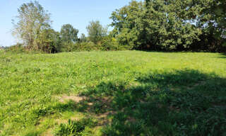 Terrain  1161 m² à vendre à Tesson (17460)