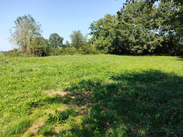 Terrain à bâtir 1 161 m² – Tesson (17460) – cadre champêtre et résidentiel — photo du bien