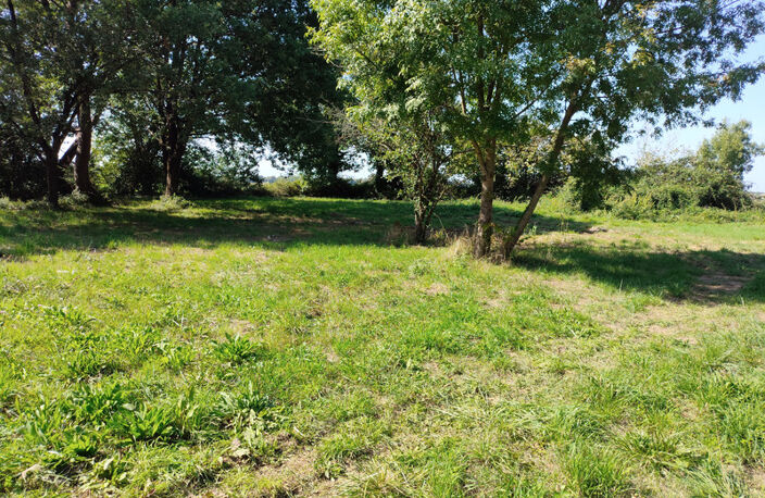 Terrain à bâtir 1 161 m² – Tesson (17460) – cadre champêtre et résidentiel — photo 3