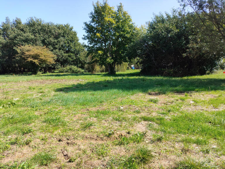 Terrain à bâtir - 1227 m2 - TESSON (17460) — photo 1