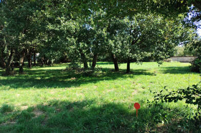 Terrain  47000 €
