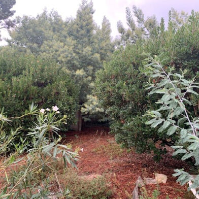 Maison 4 pièces 922000 €