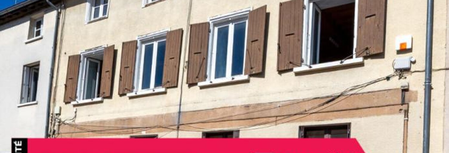 Maison 8 Pièces 270 m² à vendre à Panissières (42360)