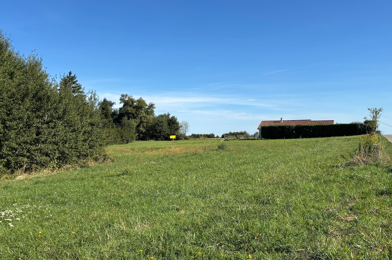 Terrain  254000 €