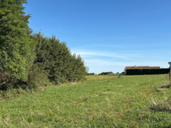 Terrain constructible de 2418m2 à Chalon, calme, proche de — photo 2