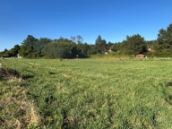 Terrain constructible de 2418m2 à Chalon, calme, proche de — photo 3