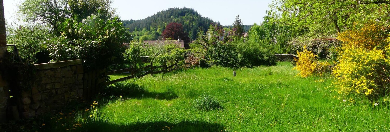 Immeuble  300 m² à vendre à Bruyères (88600)