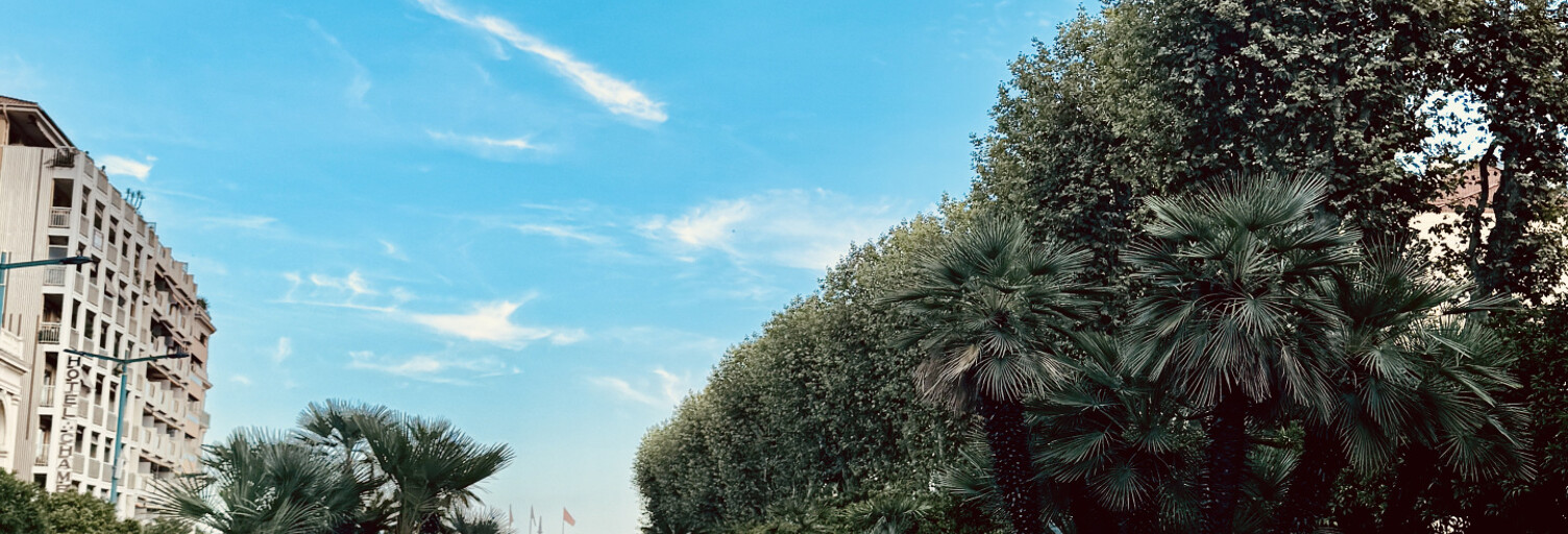 Commerce  33 m² à vendre à Menton (06500)