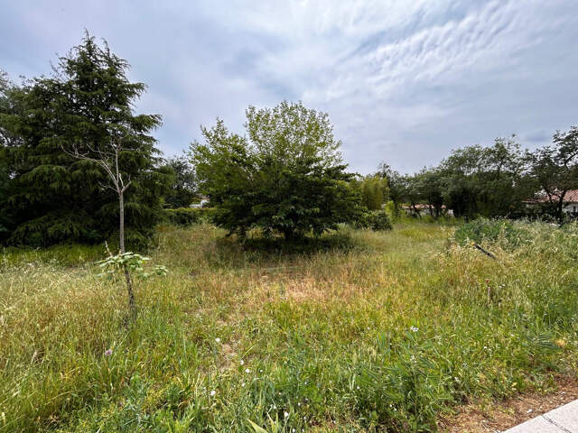 Dépt Hérault (34) - Prades le Lez - À vendre - Terrain à bât — photo du bien