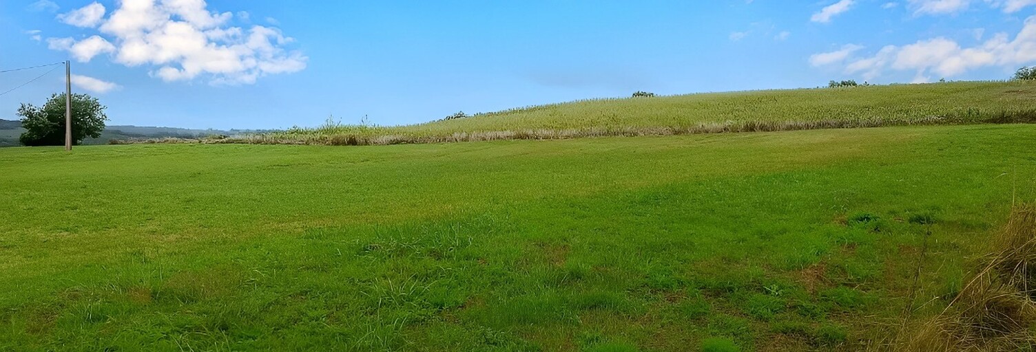 Terrain  2000 m² à vendre à La Sauzière-Saint-Jean (81630)