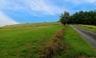 Terrain  2000 m² à vendre à La Sauzière-Saint-Jean (81630)