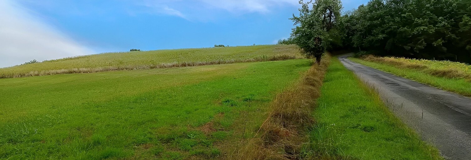 Terrain  2000 m² à vendre à La Sauzière-Saint-Jean (81630)