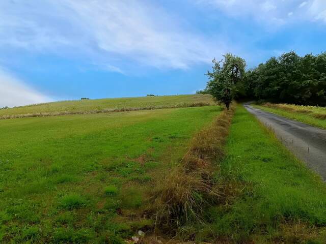 Terrain constructible — photo du bien