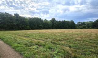 Terrain  23776 m² à vendre à Guécélard (72230)