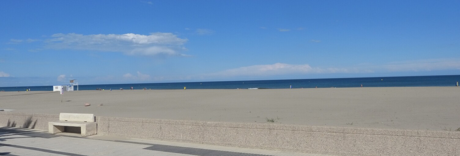 Appartement 2 Pièces 33 m² à vendre à Canet-en-Roussillon (66140)