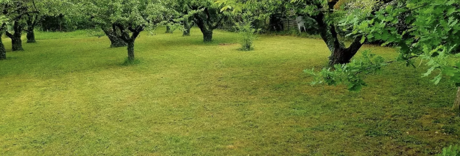 Terrain  710 m² à vendre à Sainte-Foy-lès-Lyon (69110)