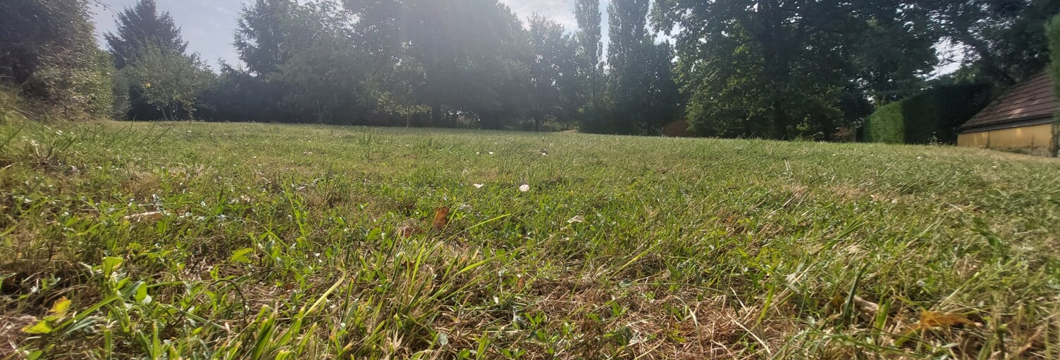 Terrain  2500 m² à vendre à Allériot (71380)