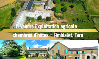 Maison 18 Pièces 519 m² à vendre à Ambialet (81430)