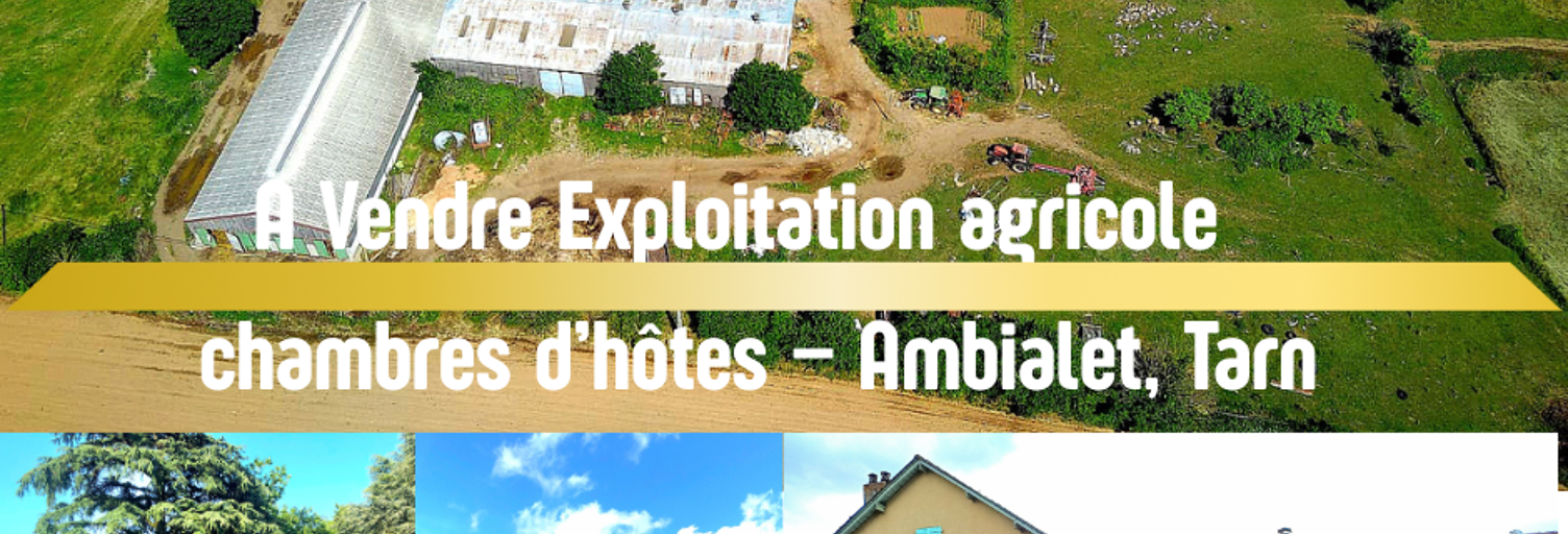 Maison 18 Pièces 519 m² à vendre à Ambialet (81430)