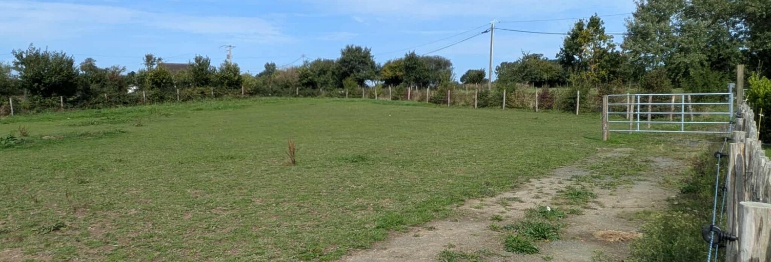 Maison 7 Pièces 184 m² à vendre à Bourgvallées (50750)